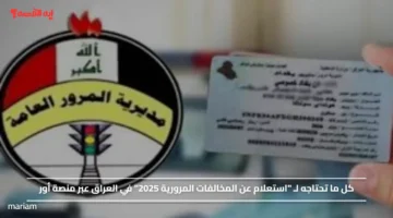 بوابة أور العراقية .. استعلم عن غرامات المرور بالرقم الألماني في ثواني من البيت!